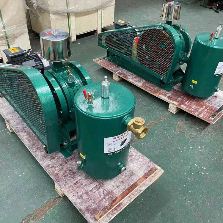 回轉(zhuǎn)式鼓風(fēng)機(jī)